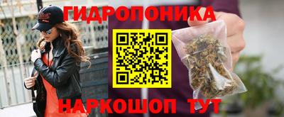 дмт Шебекино