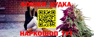 дмт Шебекино